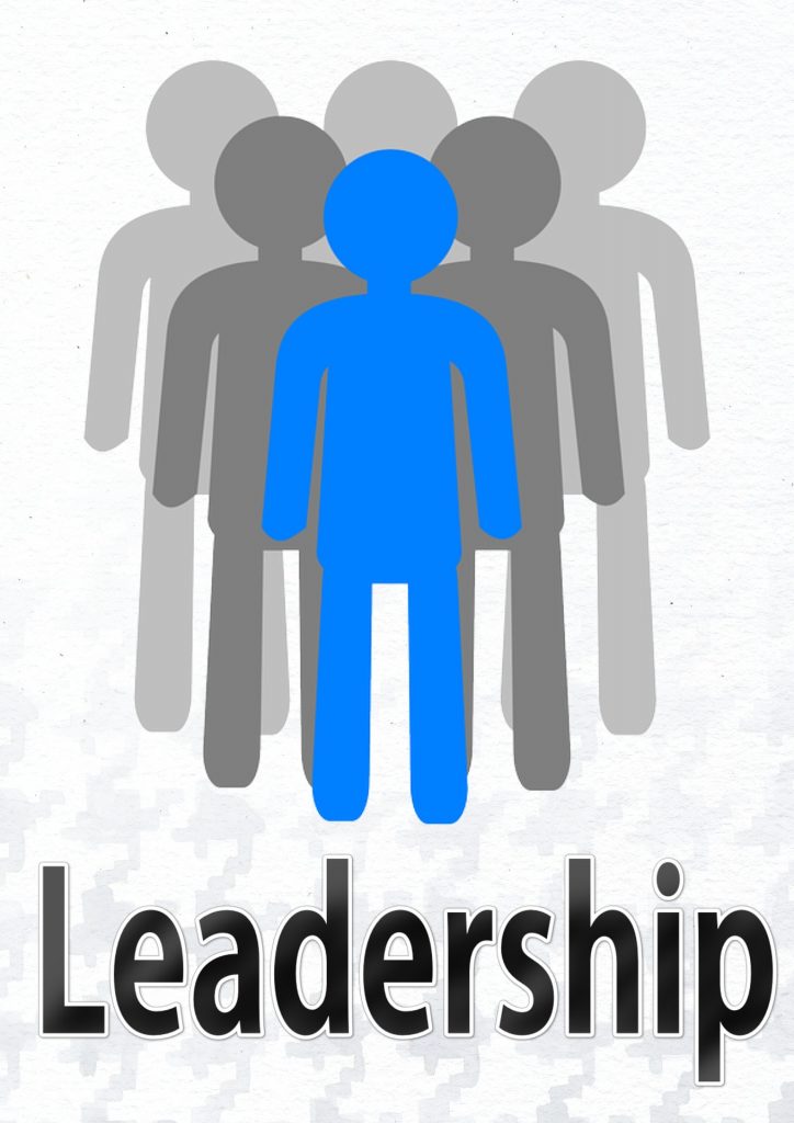 Image for Characteristics of Great Leaders.