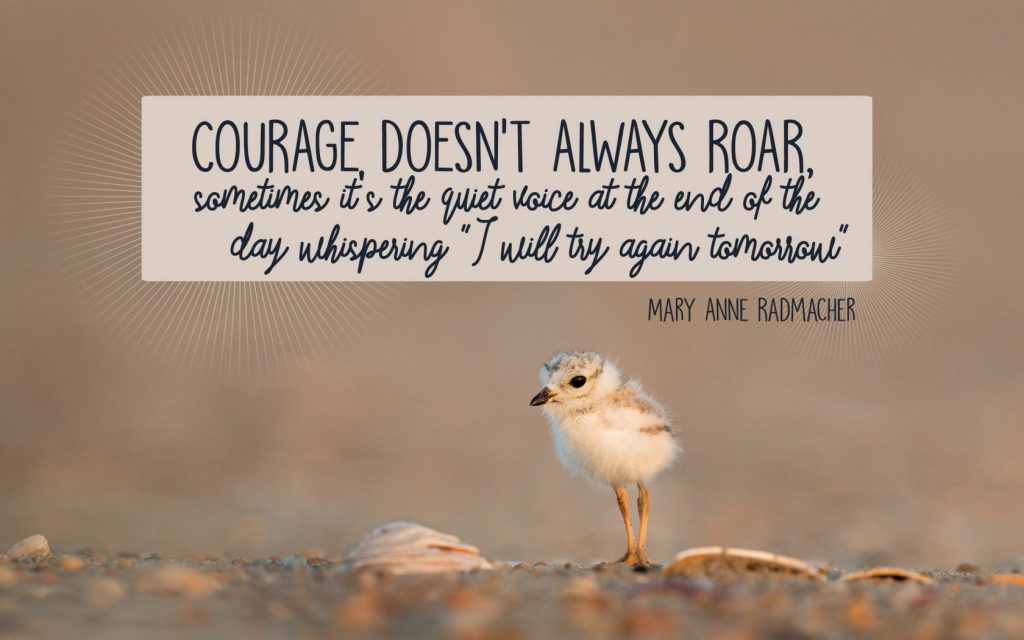 Image for Short Encouraging Quotes - Mary Anne Radmacher